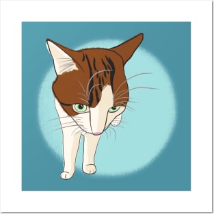 Soya the cat - grumpy Posters and Art